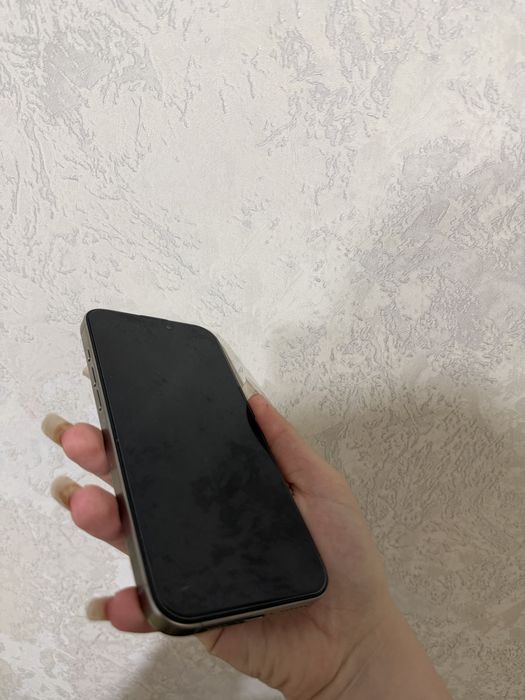 iPhone 16 pro max
