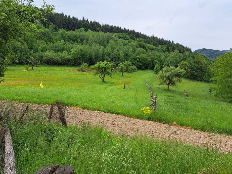 Casa cu teren si padure