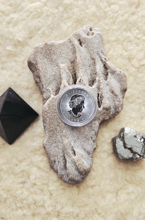 Maple Leaf Canadian 2023 -