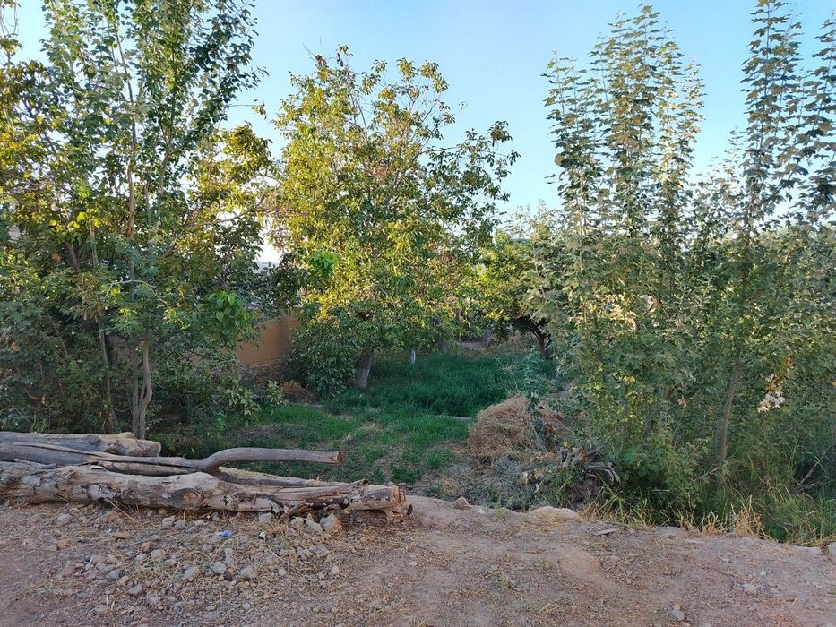 Ховли сотилади кармана туман да