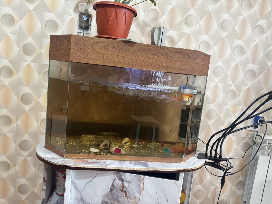 Аквариум большой