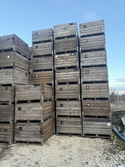 Boxpaleti lemn , lazi  lemn , depozitare.