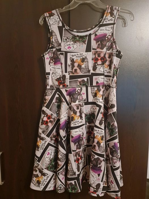 Rochita colorata catei