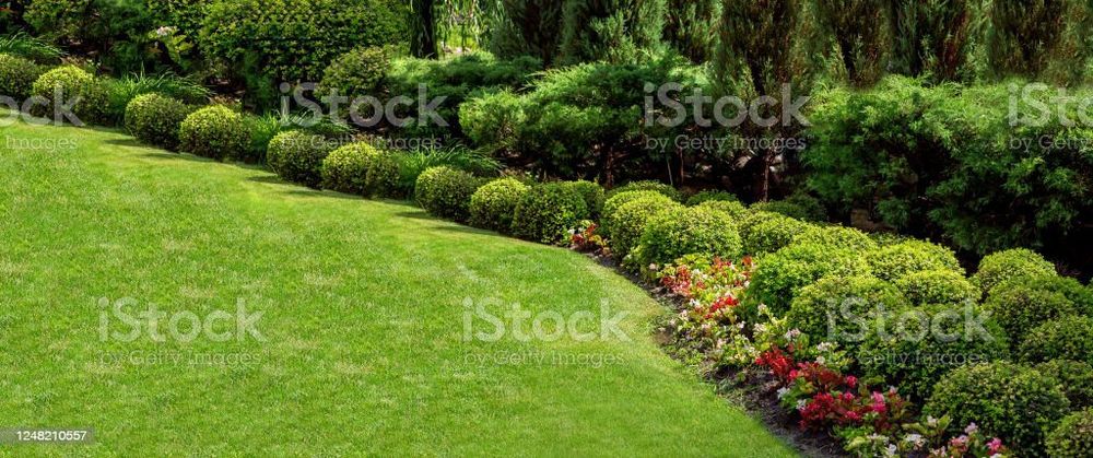 Газон экамиз урамиз англиский стильда  ва рулон газон экамиз ва урамиз