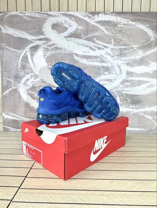 Nike Vapor Max Plus Blue
