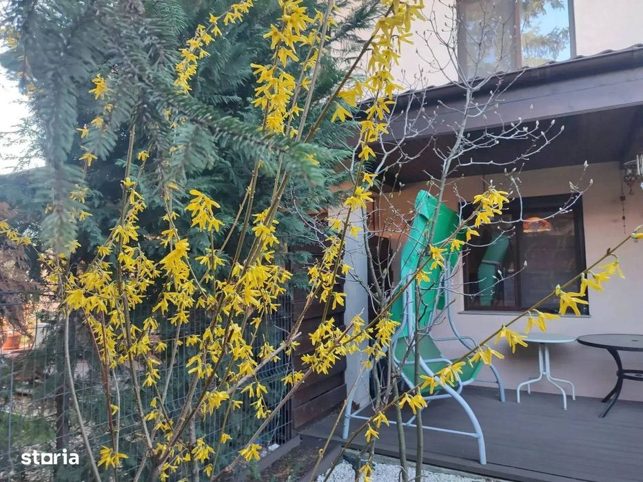 Apartament 4 Camere Otopeni | Scara Interioara | Gradina | Spatios