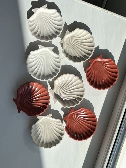 ракушки из гипса