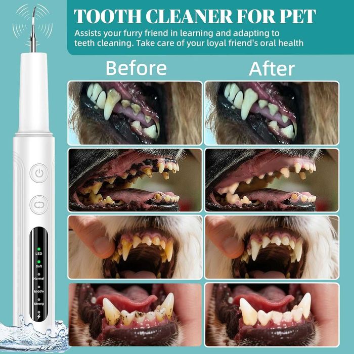 Hauser Комплект за почистване на зъби от зъбен камък и петна, 2 в 1