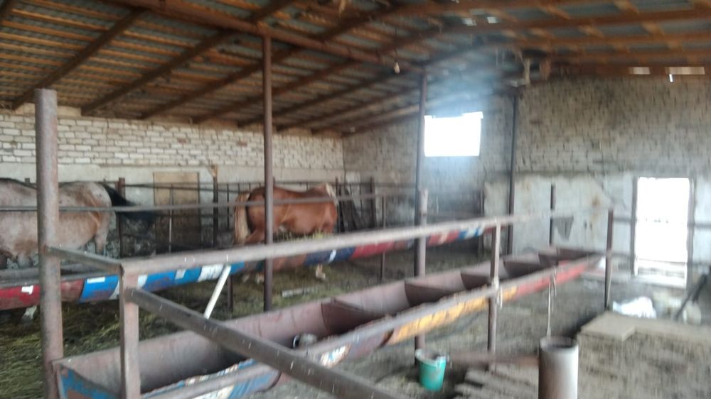 Продам базу  для сельхоз хозяйства