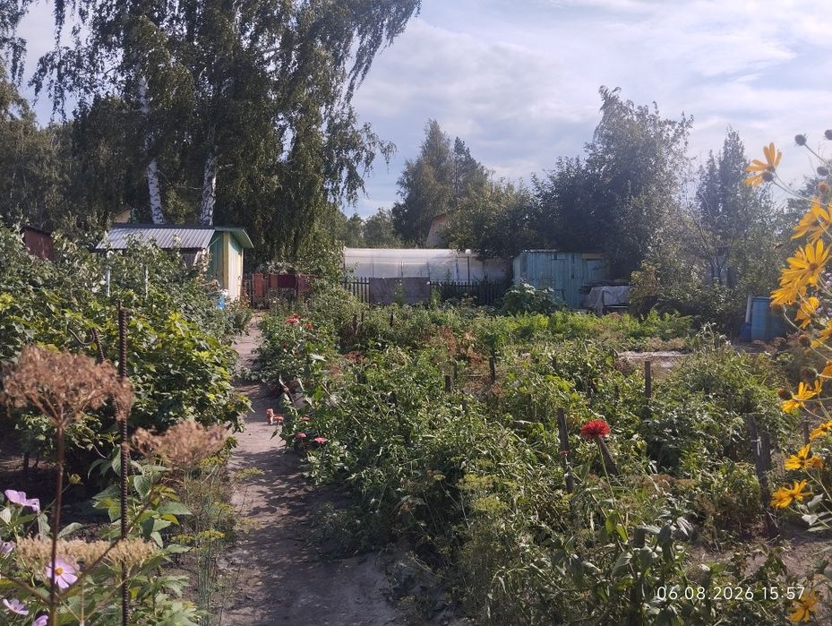 Продам дачю в новопавловка общество Комета