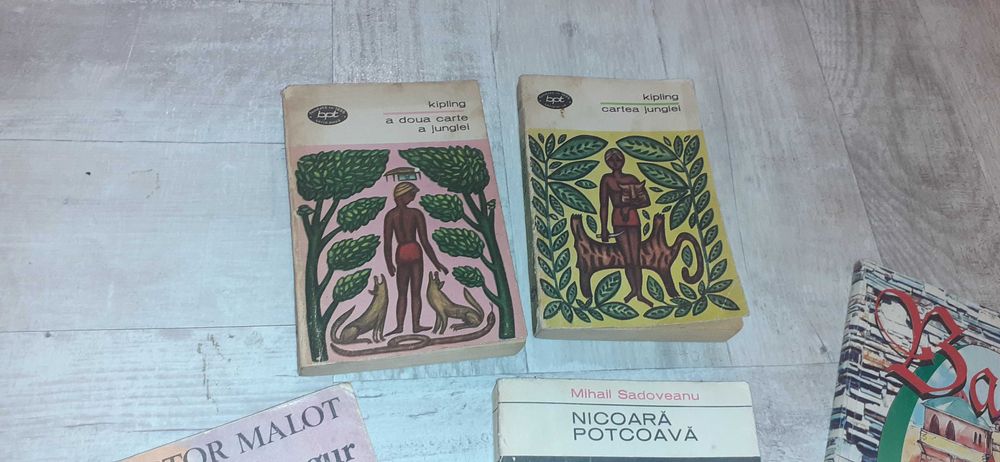 Lot carti pentru copii