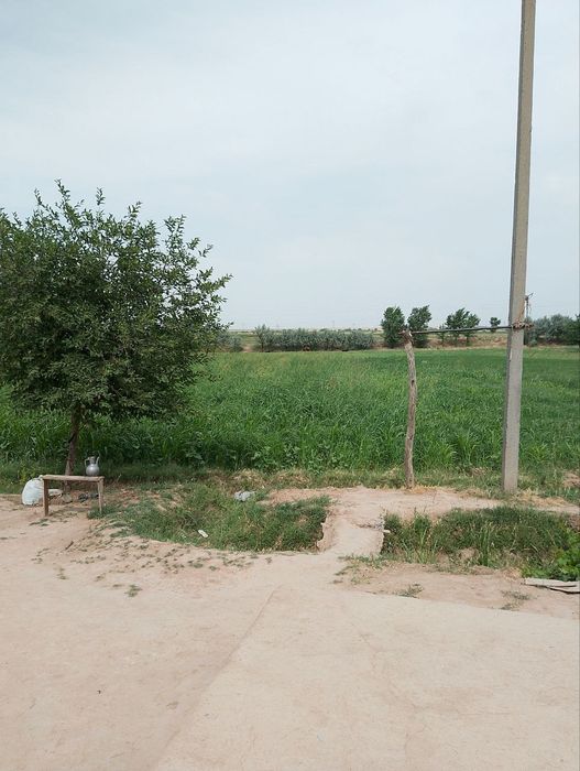 42 sotixli. uy maktab  bog‘cha yonida