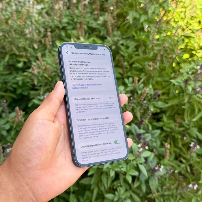 IPhone 12 Pro Max 256 Gb ideal
