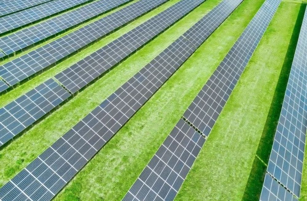 Intretinere parcuri fotovoltaice, tuns iarba in livezi, curățat teren