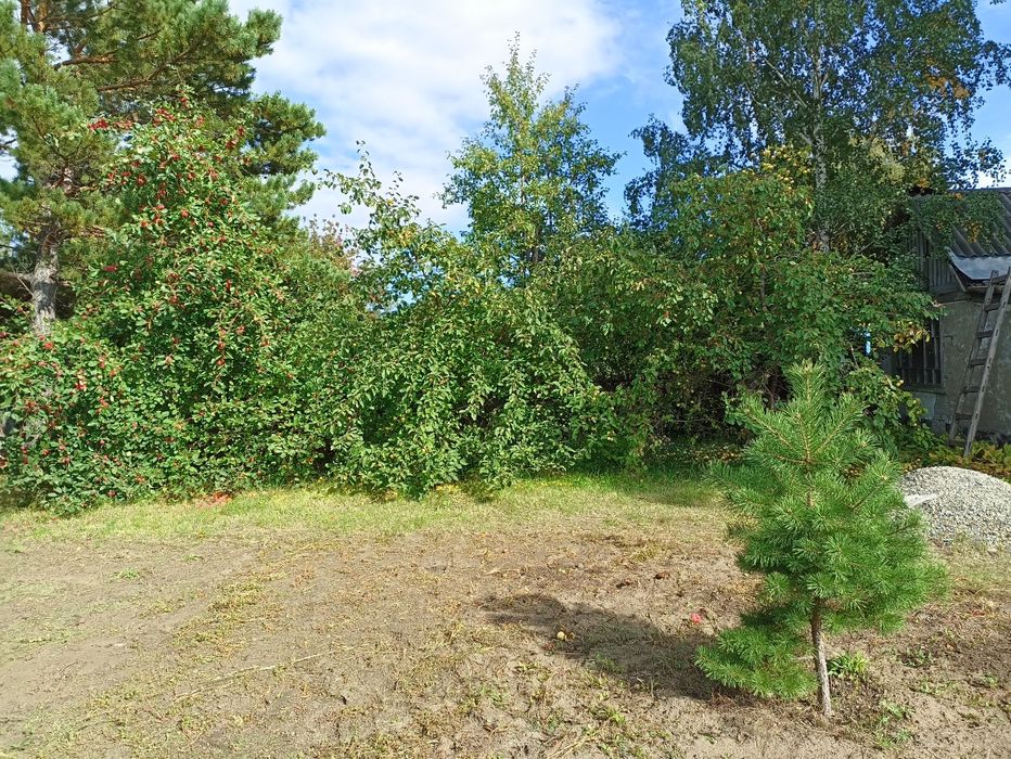 Продам дачу сад здоровье