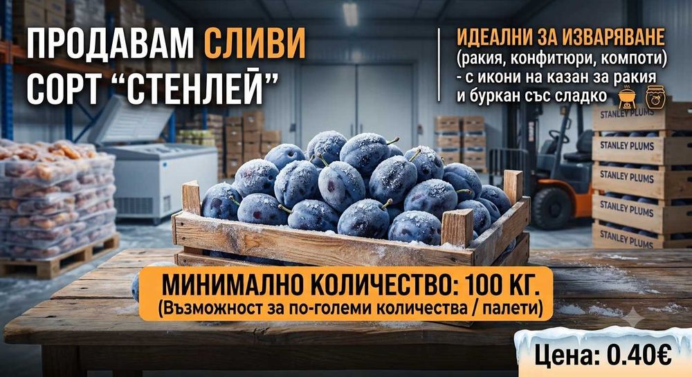 Предлагаме Сини Сливи за Ракия