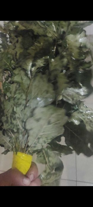 Продам Березавые веники есть масло пихтовое