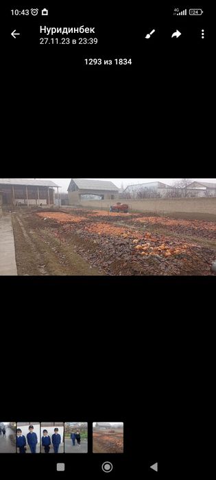 Биогумс сотилади бешли