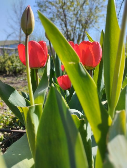 Продается Недвижимость