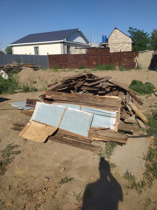 Отынга агаштар бар