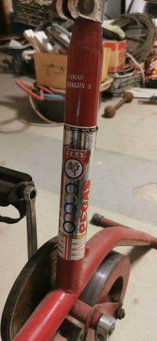 Ceas kilometraj bicicleta Pegas Pegalux 3, bicicleta medicinala