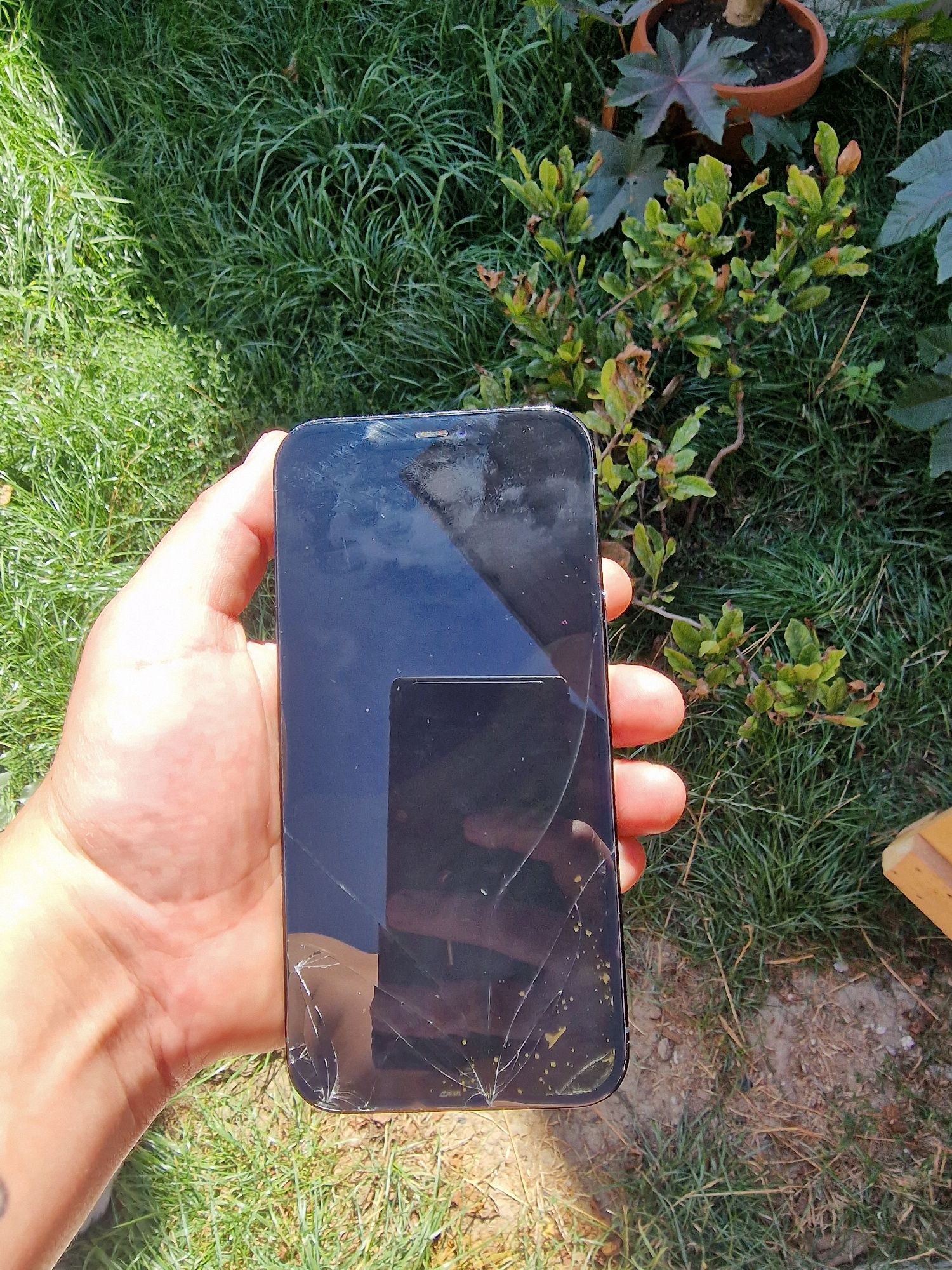 Iphone 12 PRO MAX defect Roman • OLX.ro