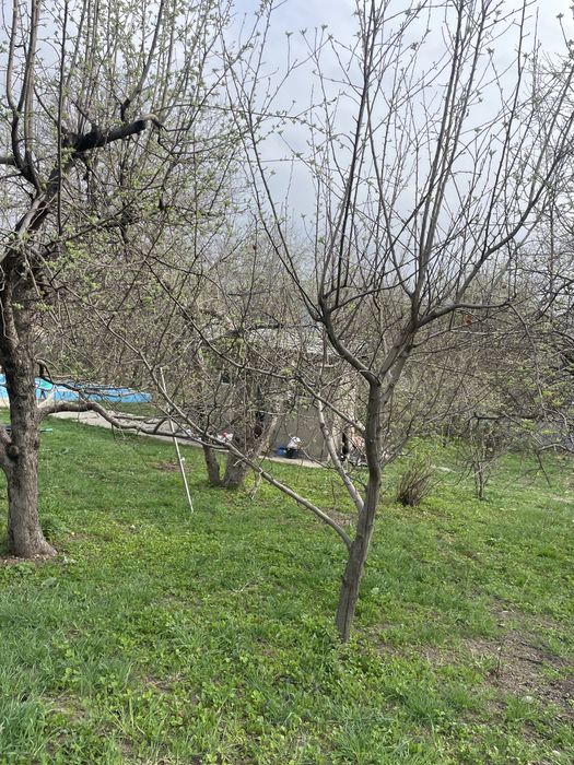 Продам участок Кыргаулды