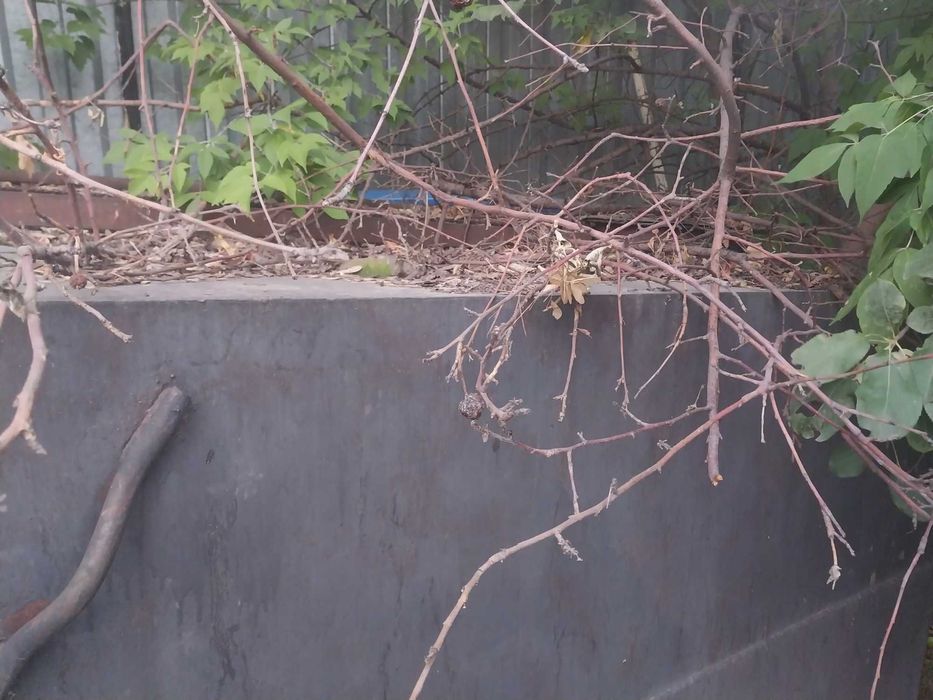 Цистерна прицепная, для воды