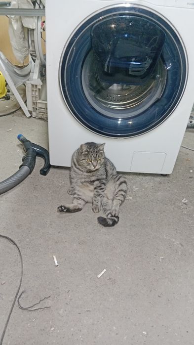 Ремонт стиральных машин