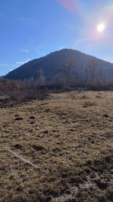 Teren sat Bradu com.Grinties Jud. Neamt