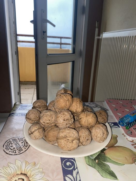 Грецские оркхи!!!1500