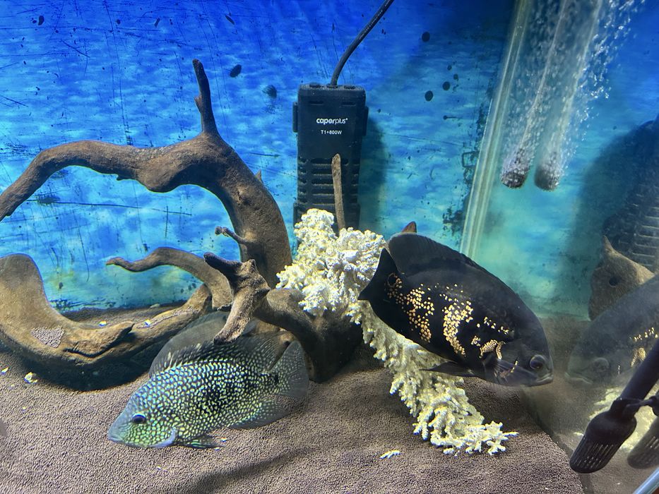 Продам аквариум!