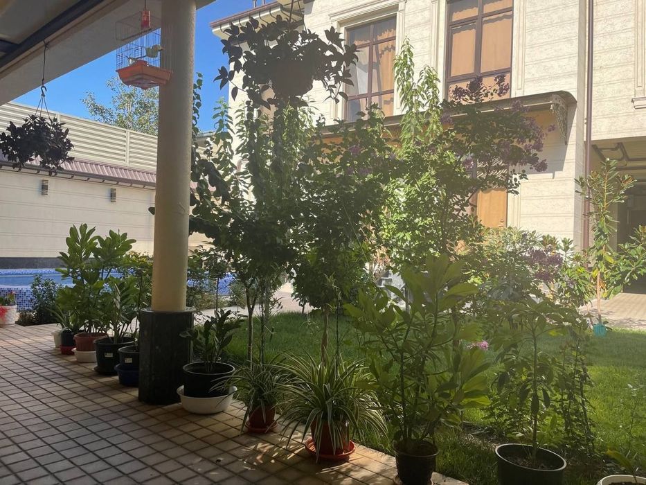 Продаётся Участка Юнусобод Бодомзор махалля