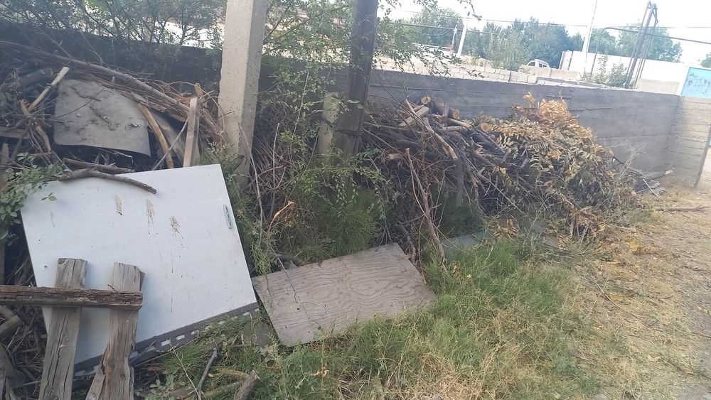 Бесплатно отдам трава самовыкастай