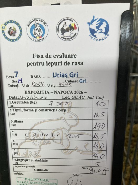 Vind 2 masculi urias german din luna aprilie