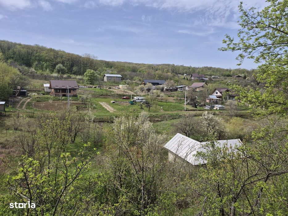 Teren intravilan, 5000 mp, 35 euro/mp, Vladiceni