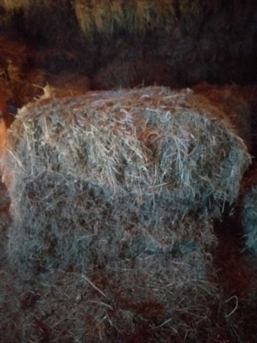 Baloti fin drepunghiular