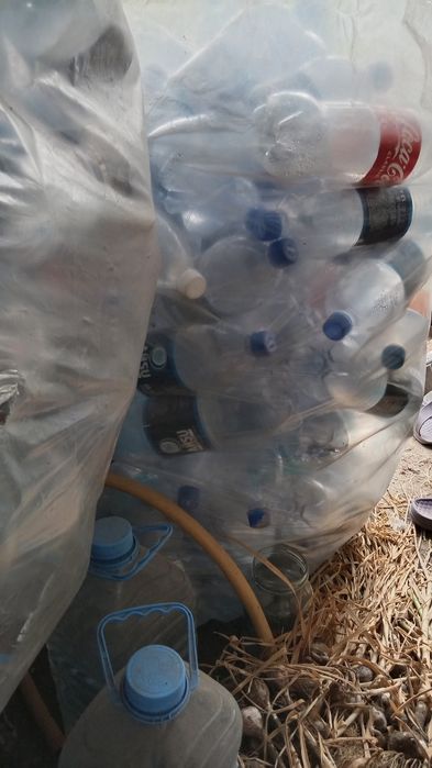 Продаю.   баклажки