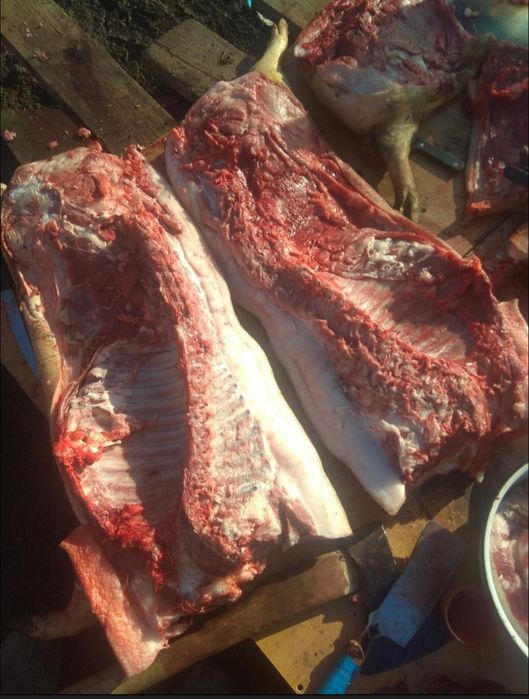 Продам мясо свинины 2000тг. За кг .