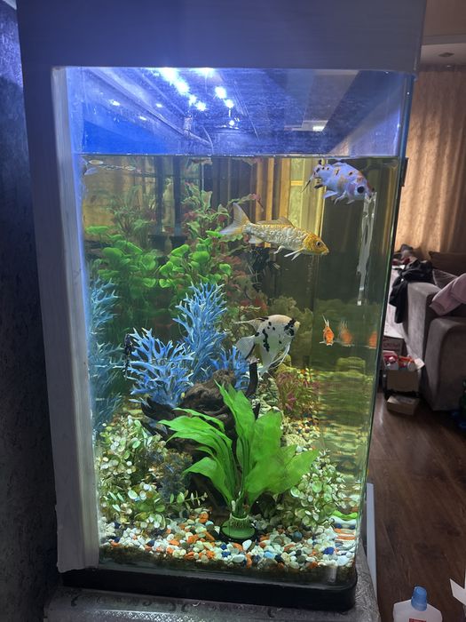 Продаемся аквариум 600 литров