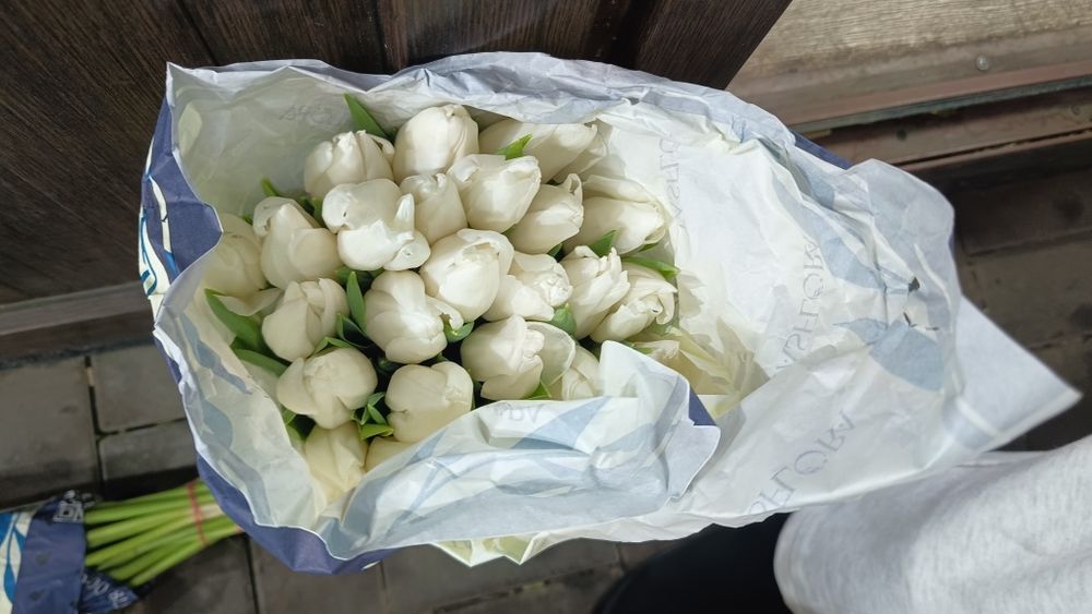 Тюльпаны свежие 25шт банч