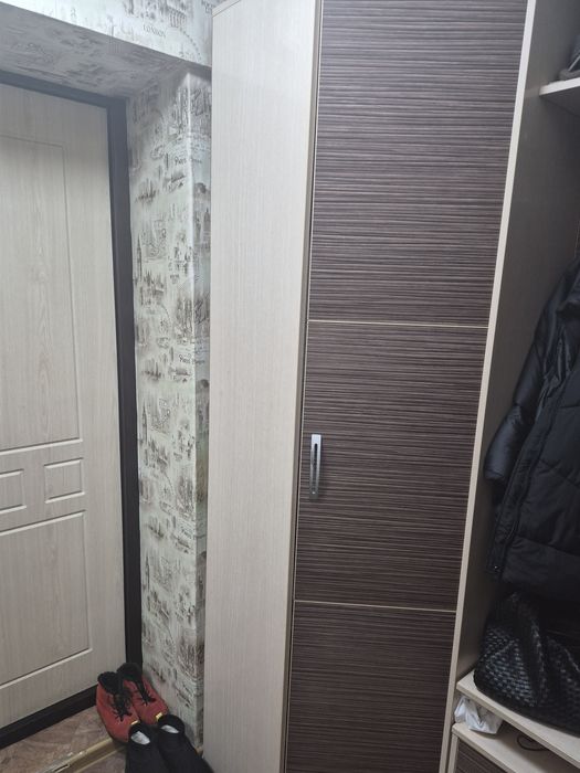 Шкаф для вещей,шкаф для  прихожей