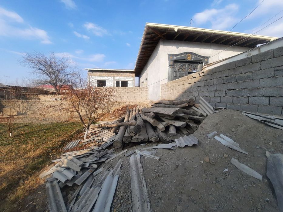 Болол сафедор опши