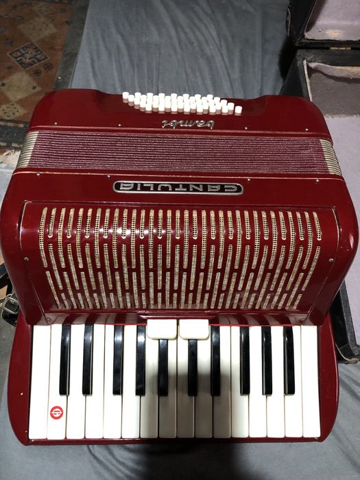 Acordeon Cantulia Bambi