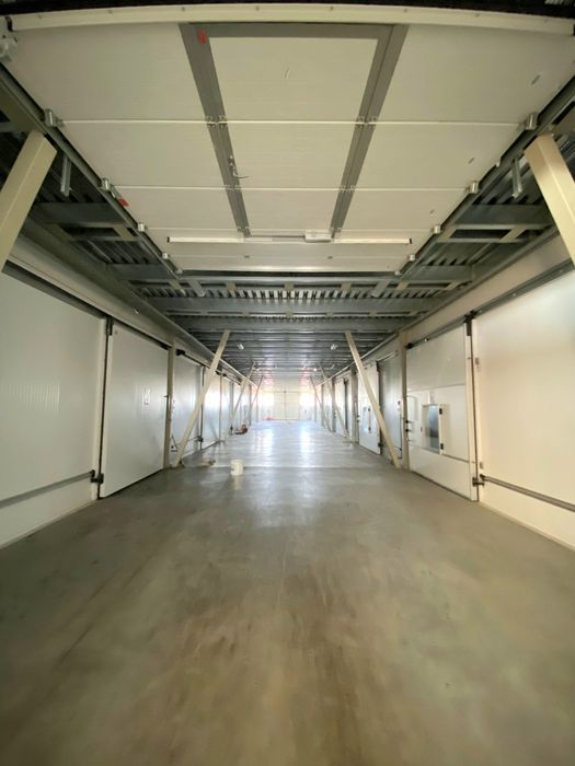 Фруктохранилище действующее.