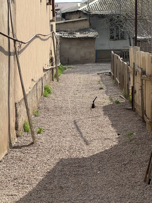 SROCHNA Sotiladi uy yer 6,60 sotix Nurafshon shaxar