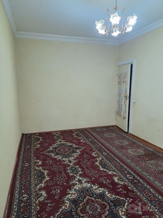 B12 Qora qamish 1-4 da 4/3/4