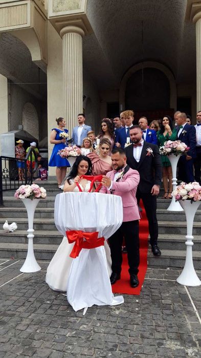 Porumbei albi nunta Braila Galati