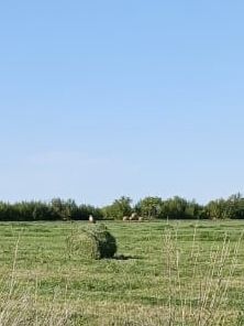 Продаю сено в руллонах , 12000