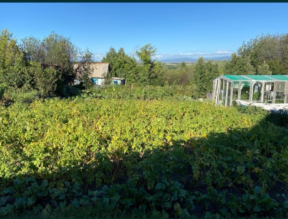 Продам дачу!!! Срочно!!!